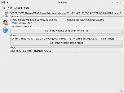 Videosettings Blink XT