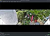 Reolink Elite Floodlight - RTSP in VLC