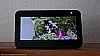 Reolink Floodlight: Alexa mit Livebild