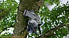 Genbolt GB216 4G Überwachungskamera - Kamera am Baum