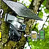 Genbolt Überwachungskamera am Baum