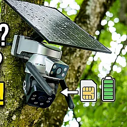 Genbolt Überwachungskamera am Baum