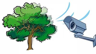 Überwachungskamera Fehlalarme