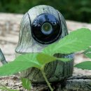 Reolink Ranger PT im Test - Wildkamera